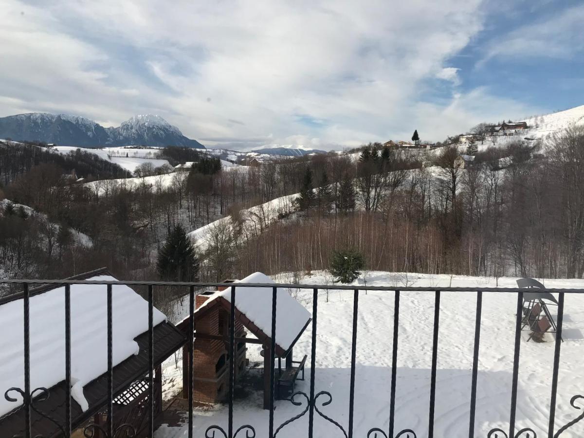 Pensiunea 7 Brazi Guest house