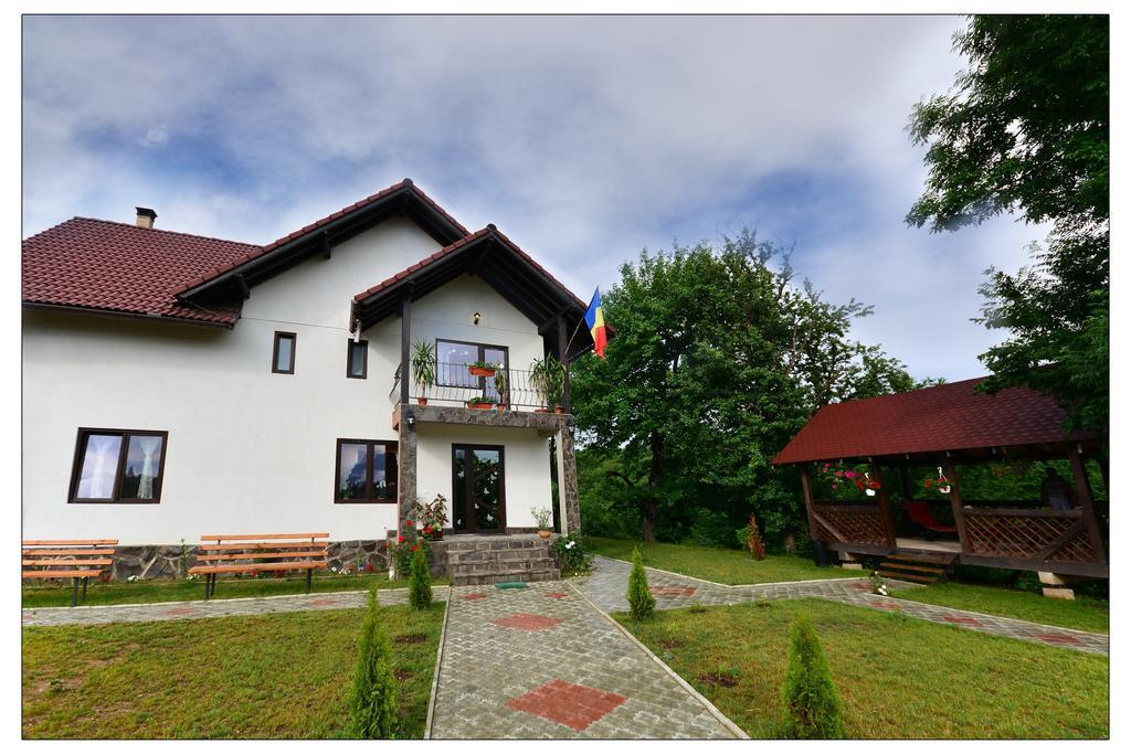 Pensiunea 7 Brazi Poiana Marului (Brasov)
