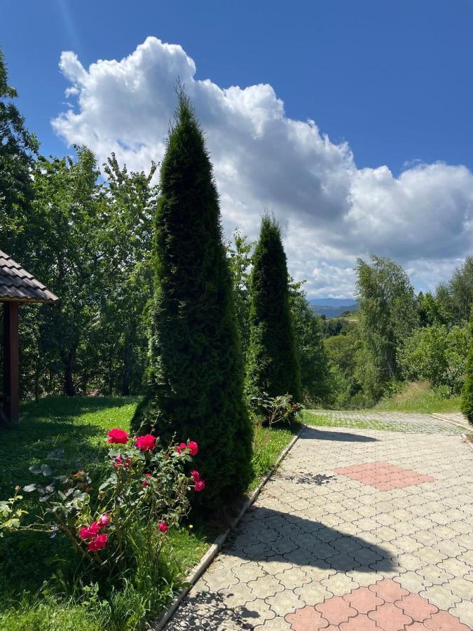 Guest house Pensiunea 7 Brazi Poiana Marului (Brasov)