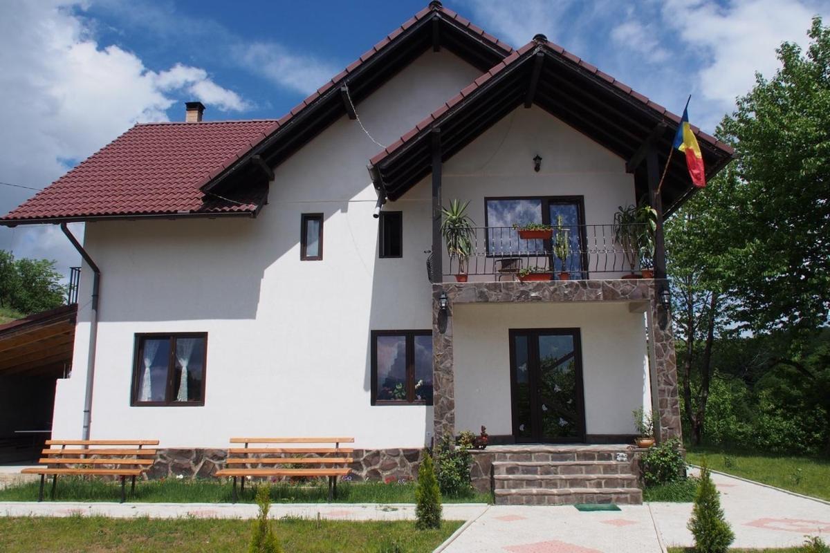 Guest house Pensiunea 7 Brazi *