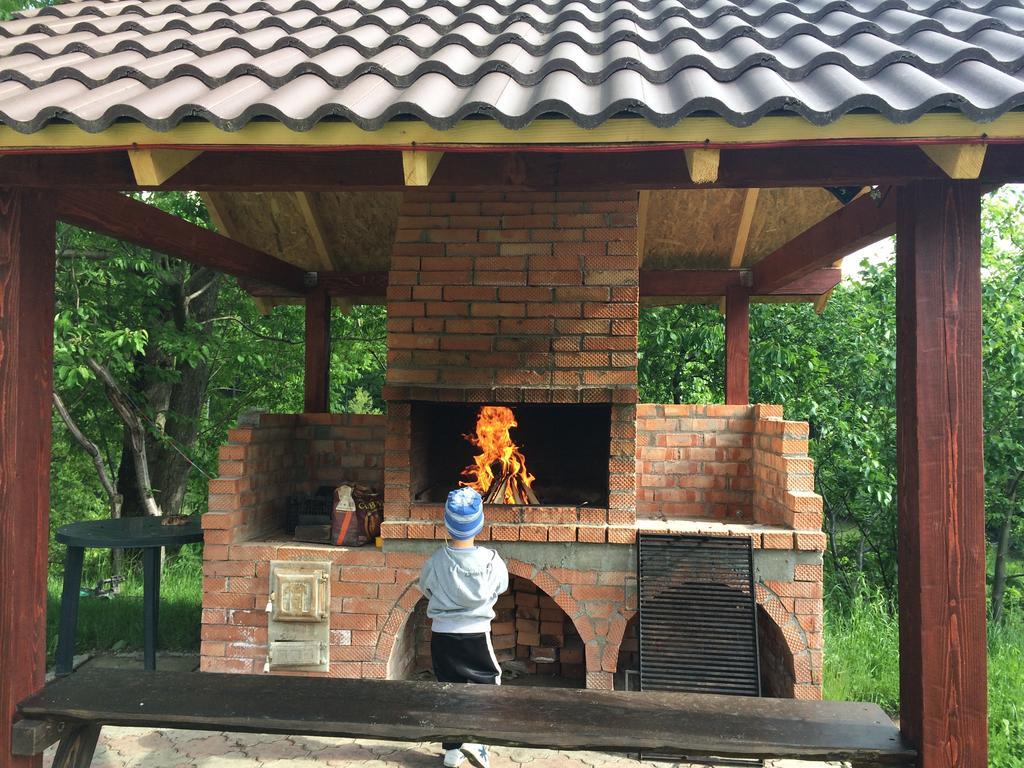 Pensiunea 7 Brazi Guest house *